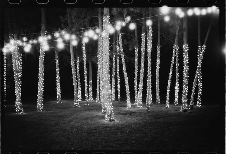 📍Northern Wisconsin.jpeg