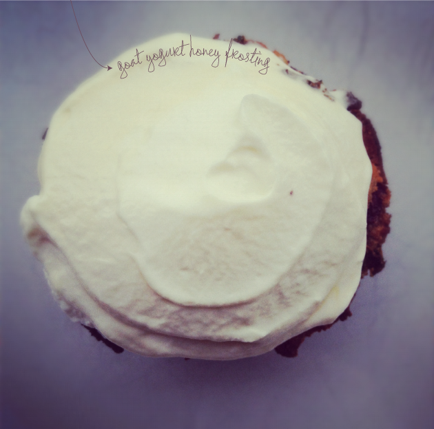 Goat Yogurt Frosting