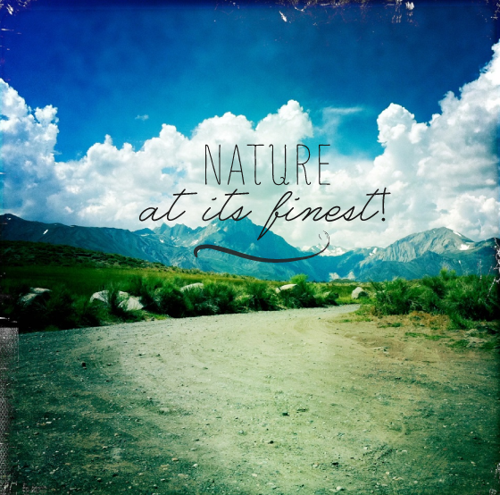 nature.png