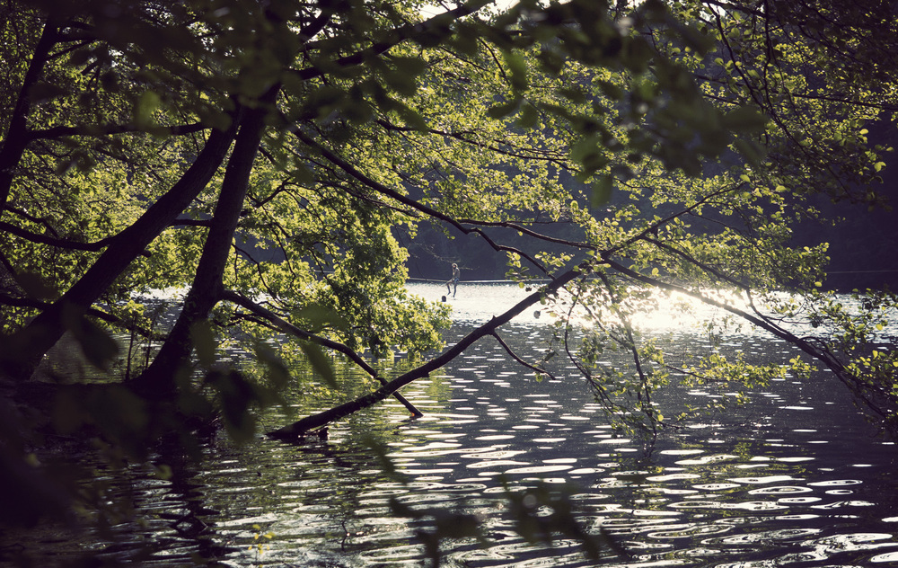  ​You may not be able to see it but someone set up a slackline in the middle of the lake. I swam here. It was cold but very refreshing considering it was 30+ degrees out :) 