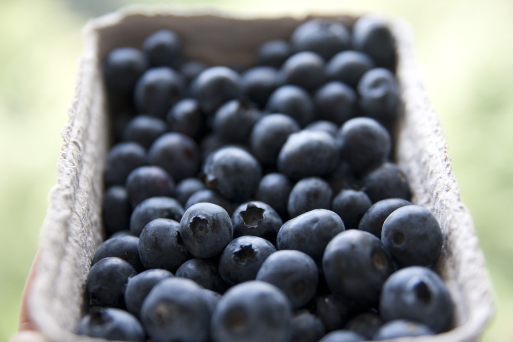  ​Fresh Deutscher Himmelbeeren from the Winterfeldt Markt. 