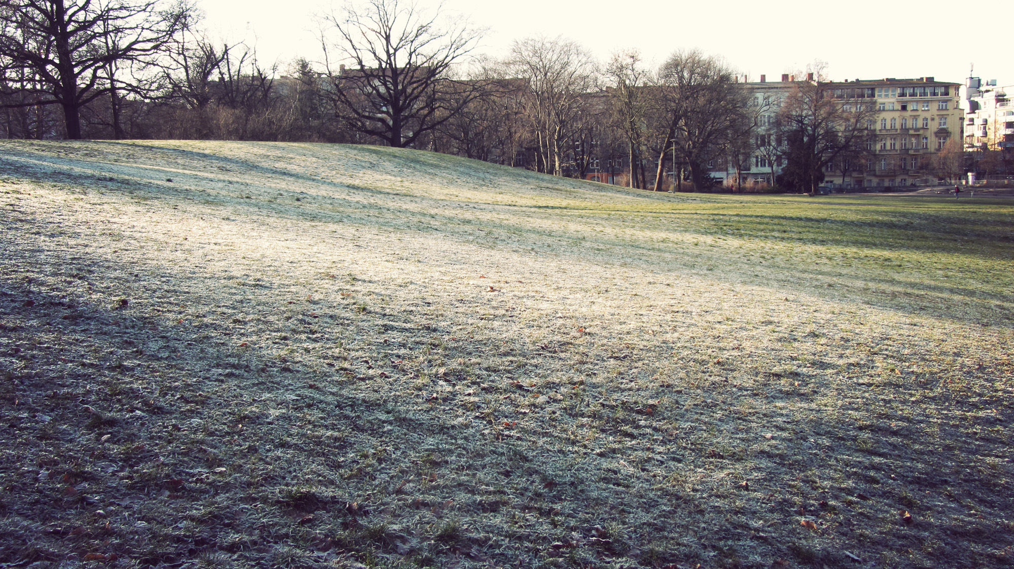  Frosty grass over Victoria Park 