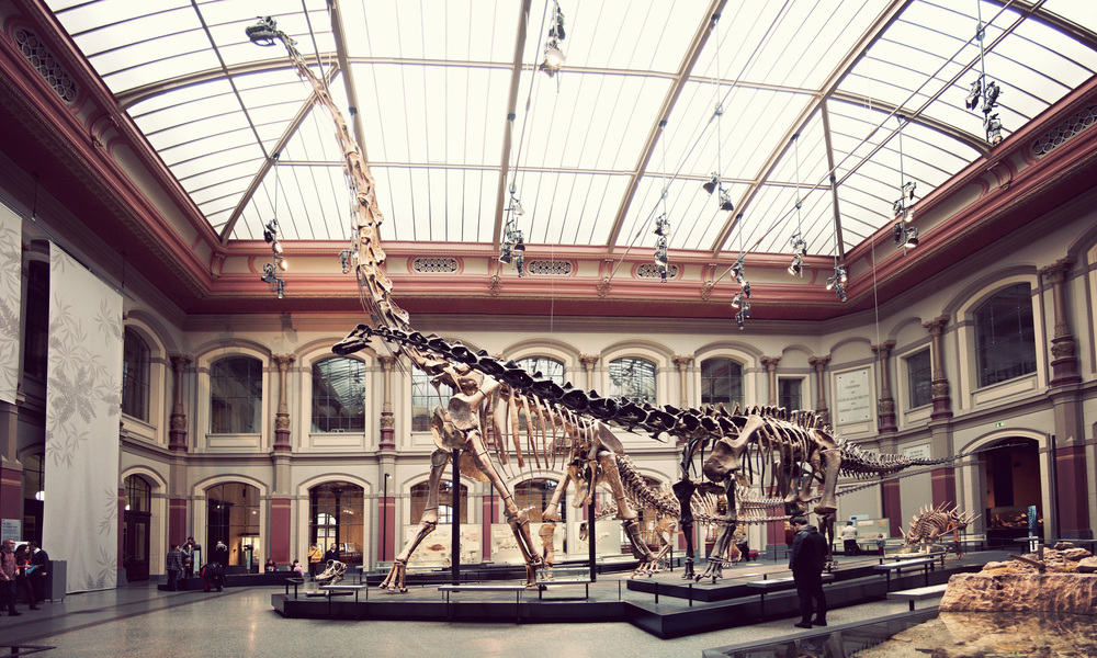 Naturkundemuseum_Main-Room.jpg