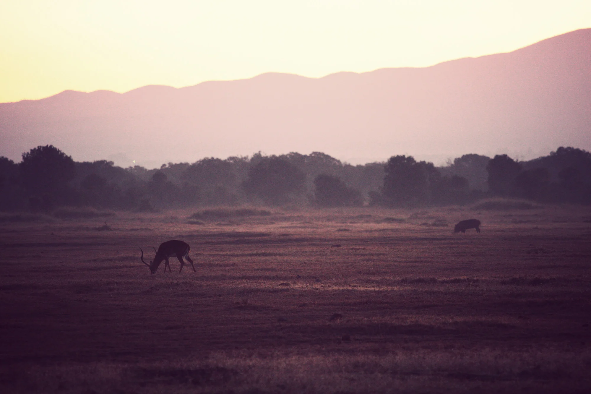 Day02_Sweetwater_Epic-Sunrise_02.jpg