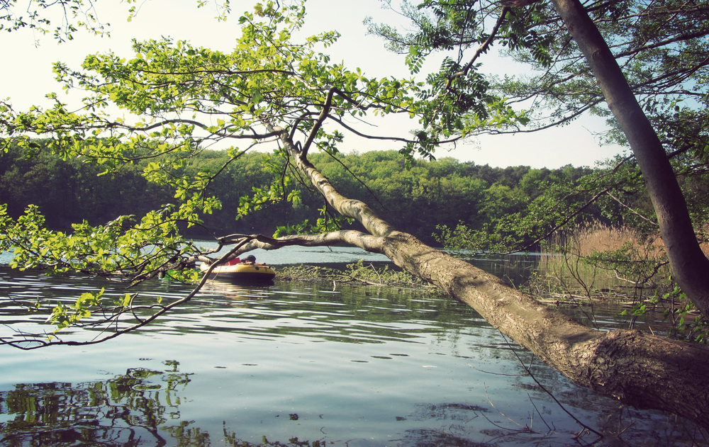 Schlachtensee_05.jpg