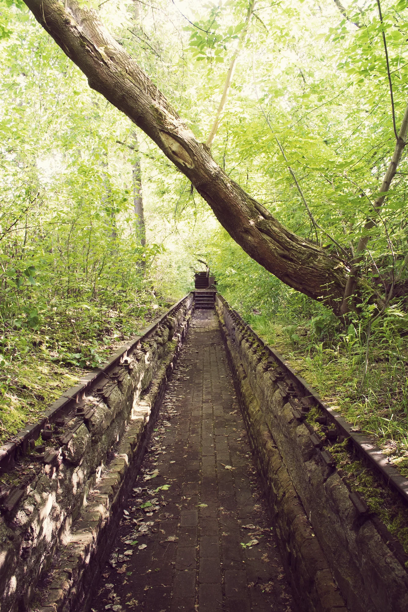 Natur-Park Schöneberger Südgelände