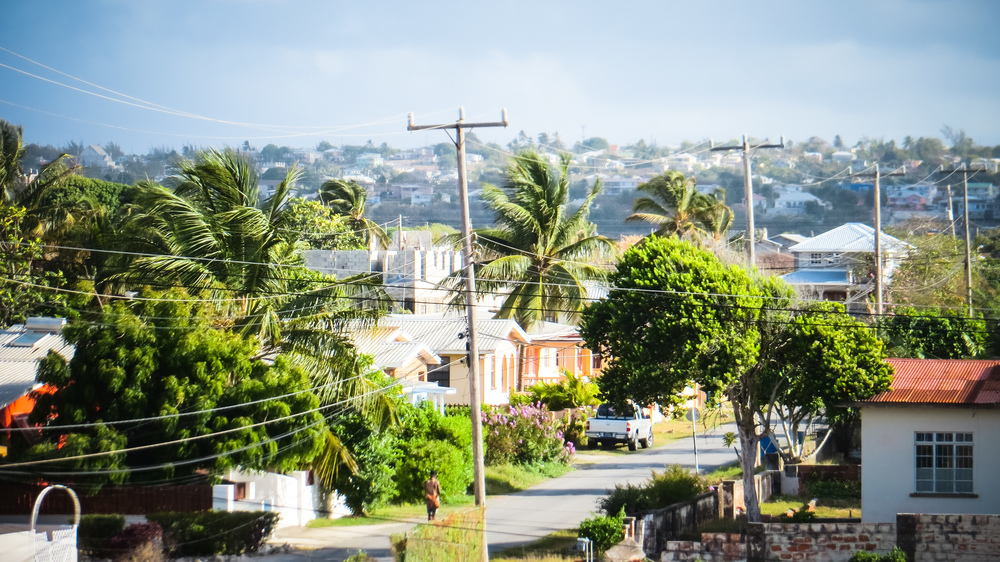  Local streetscape: well kept homes and tidy tropical trees. 