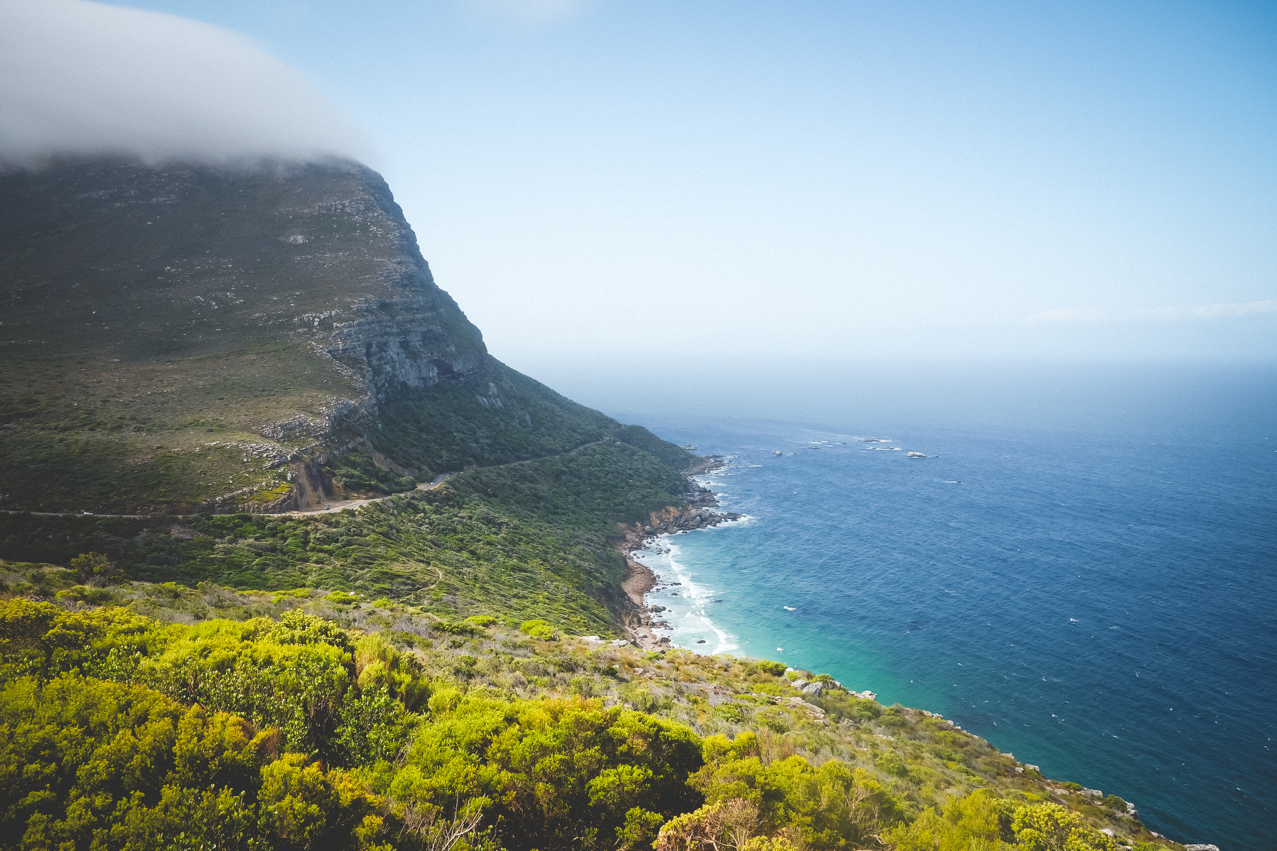 Cape Point Fynbos-20.jpg