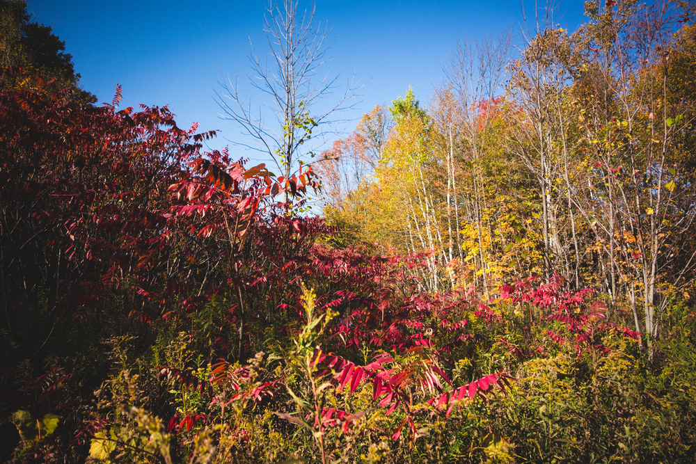 Mono-Cliffs-62.jpg