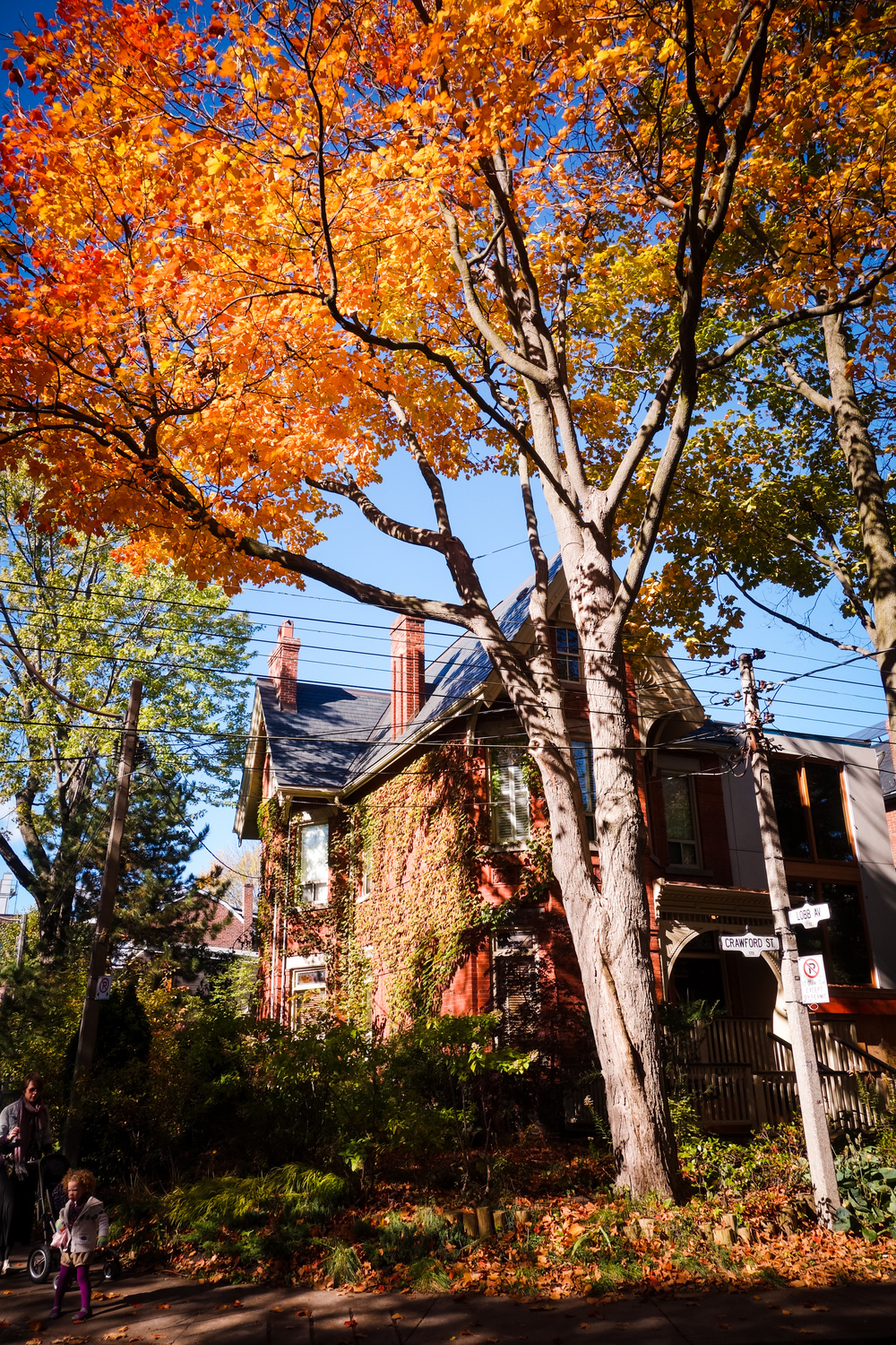 Toronto-Autumn-2.jpg