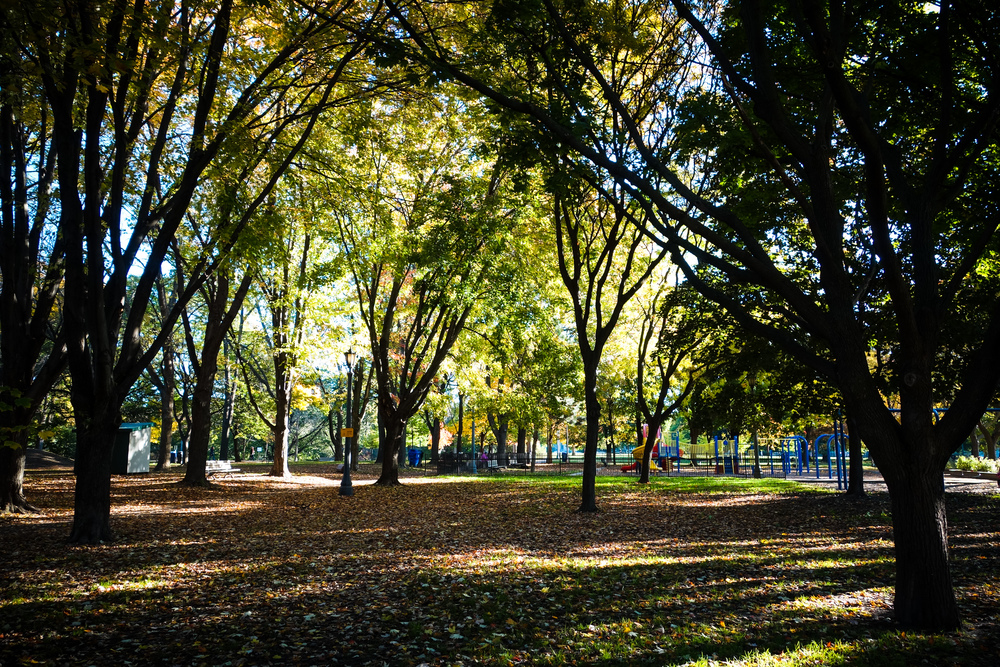 Toronto-Autumn-28.jpg