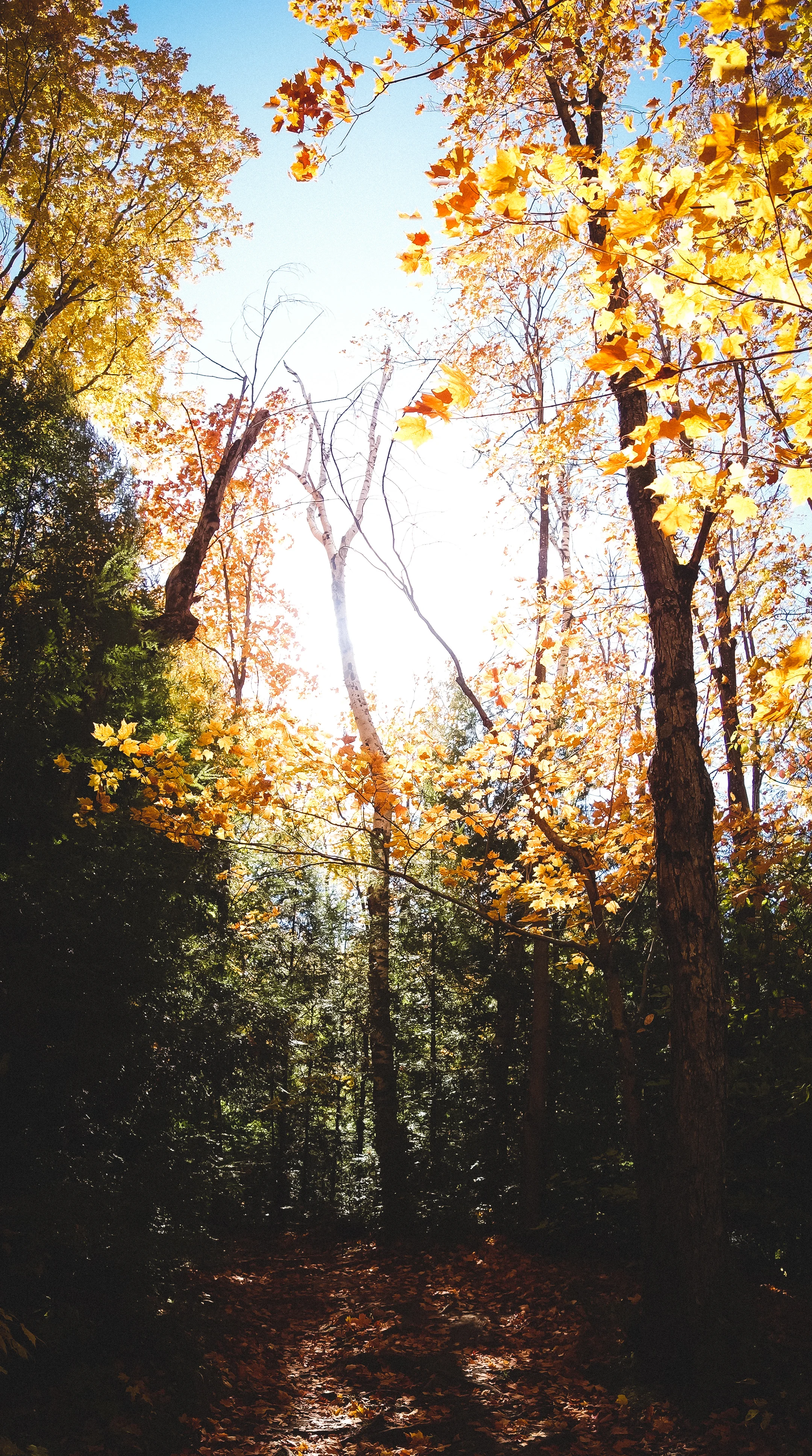 Hiking the Greenbelt: Mono Cliffs Provincial Park