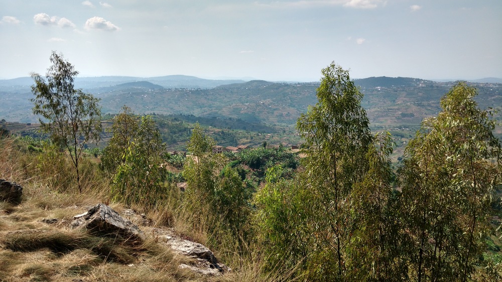  A view over the rolling hills of rural Rwanda on our ill-fated climbing adventure. 