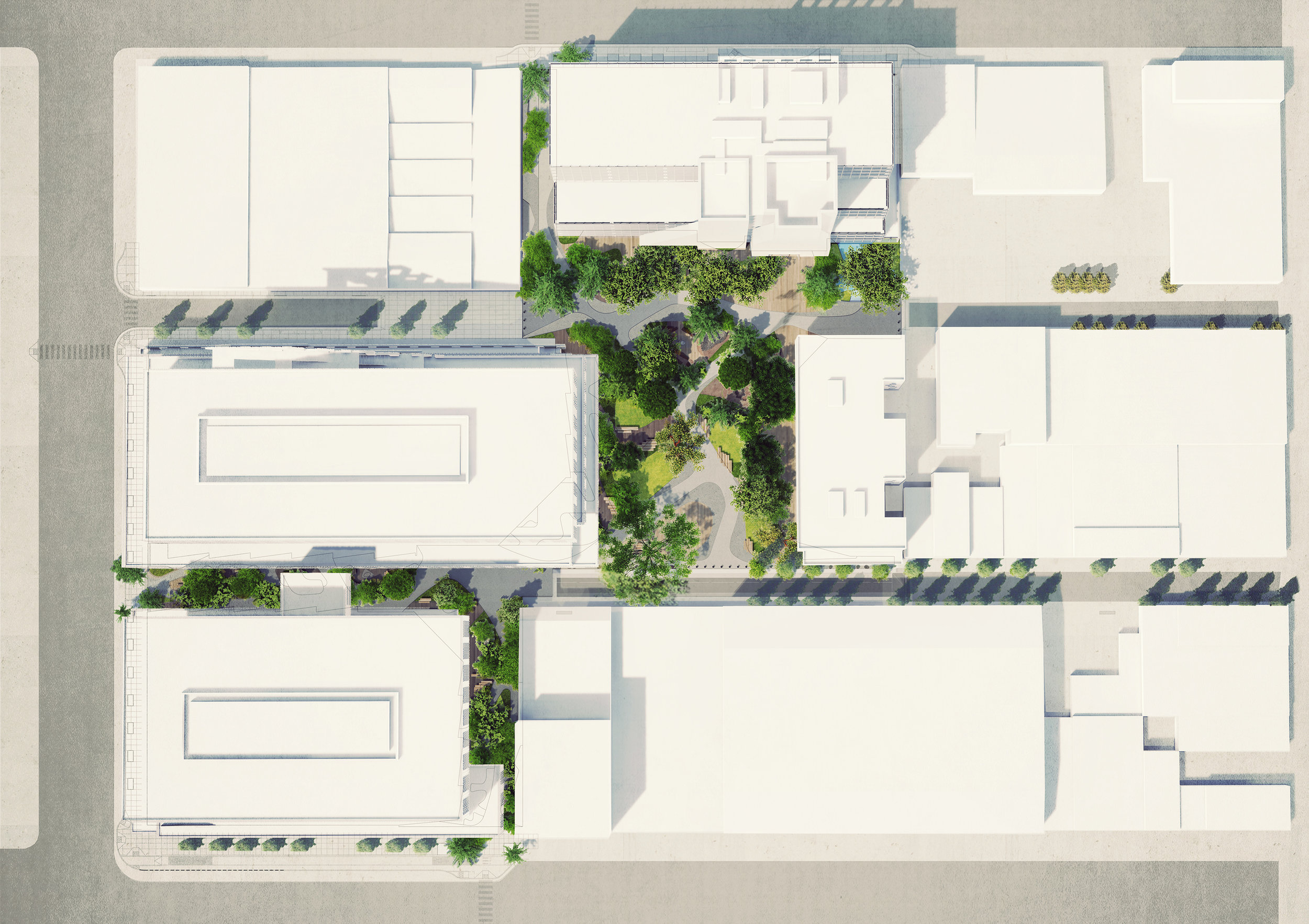 Rendered Plan with Tree Canopy