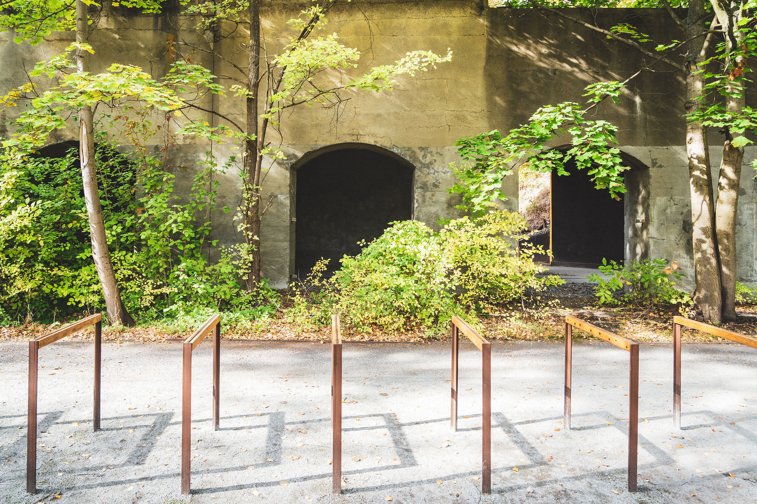 After the railyard closed, nature gradually ‘reconquered’ the site.