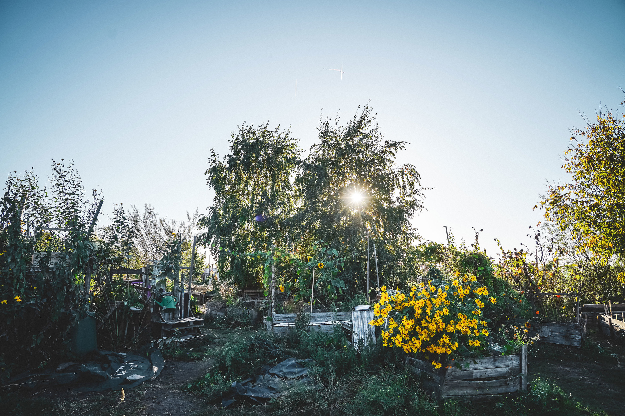 Community Gardens