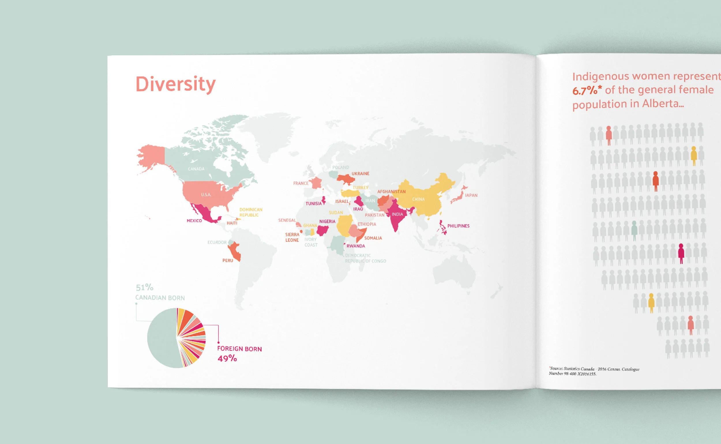 Diversity Map Infographic