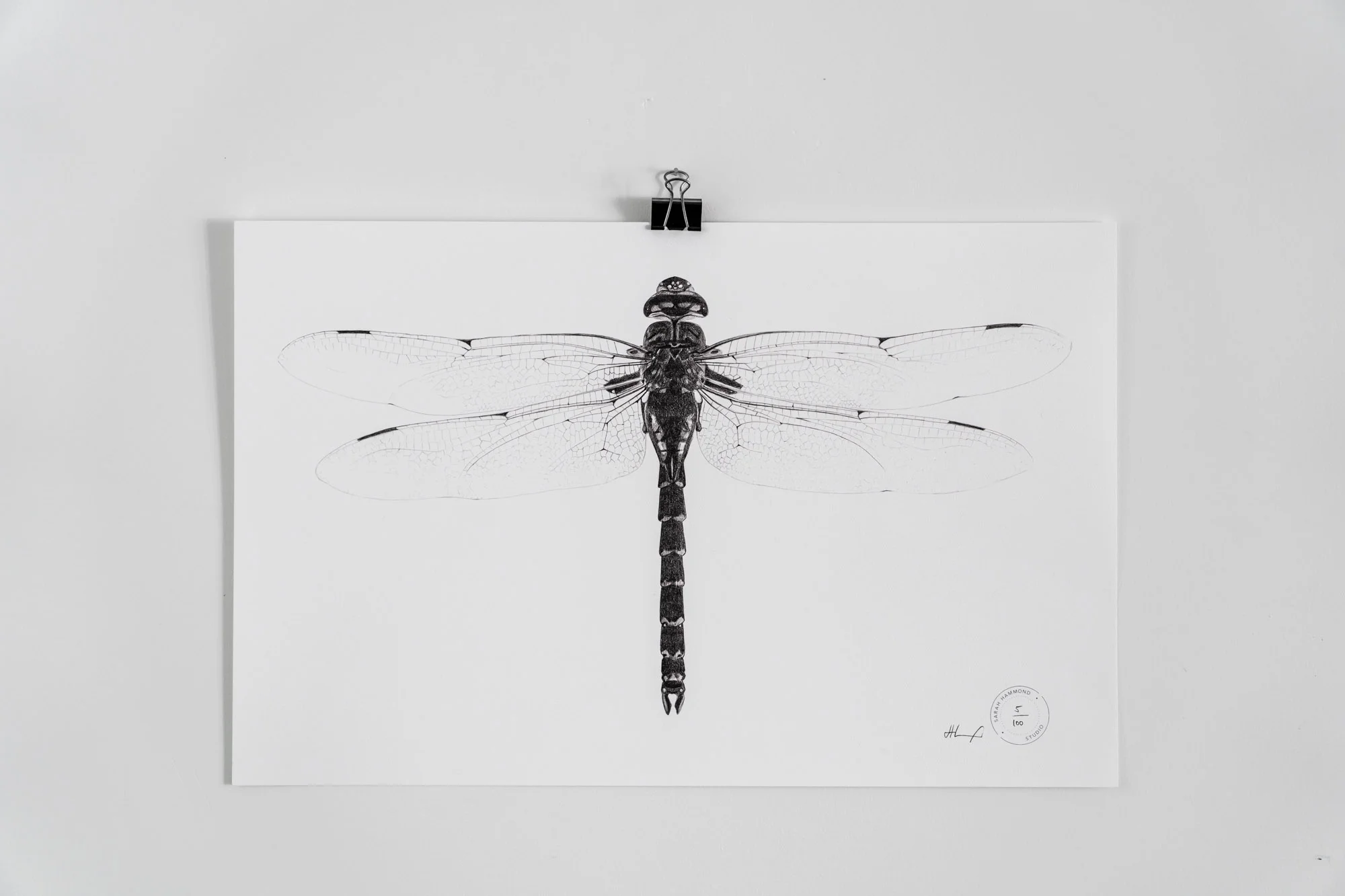 Dragonfly print