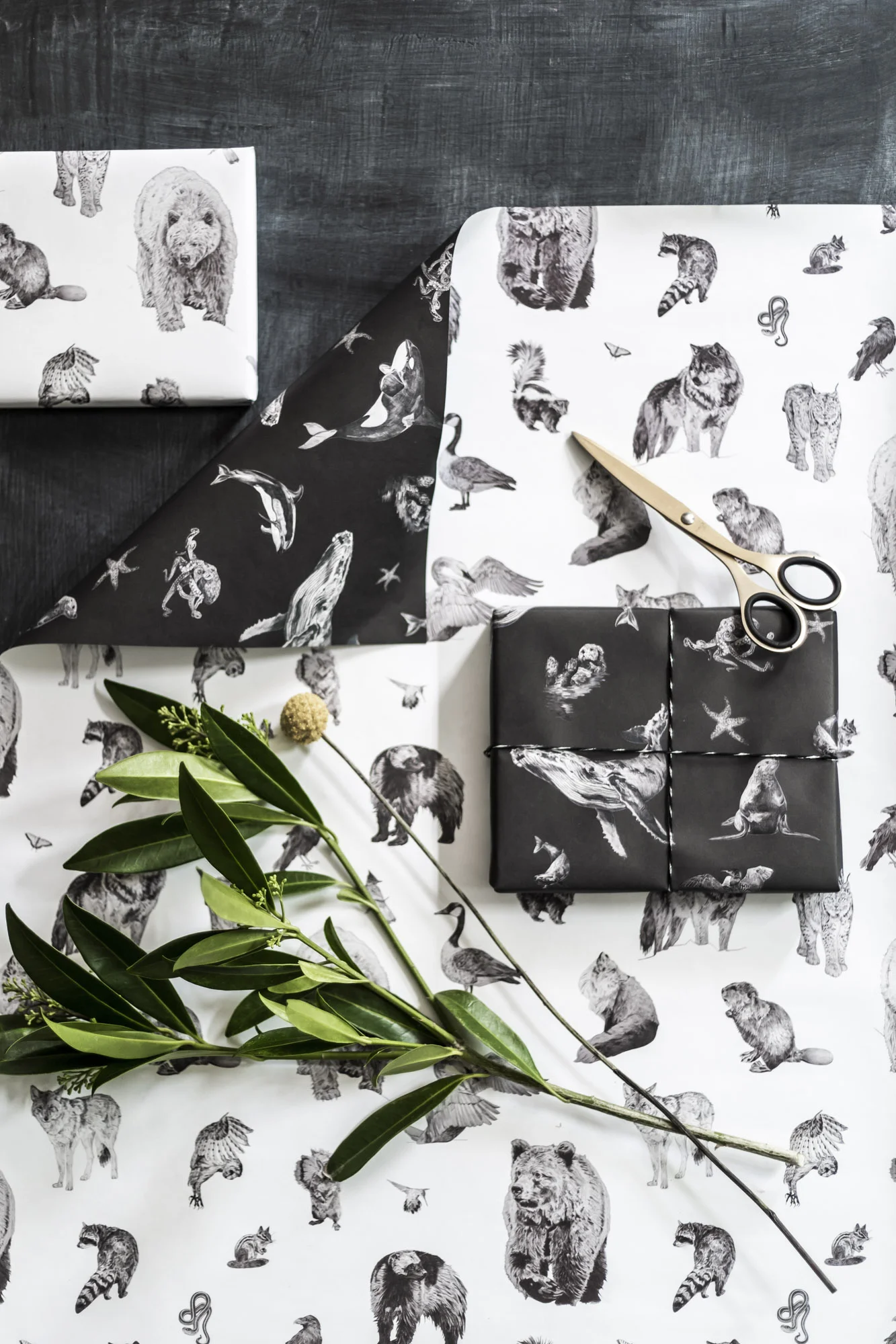 SH_Wrapping-Paper-Web-48.jpg