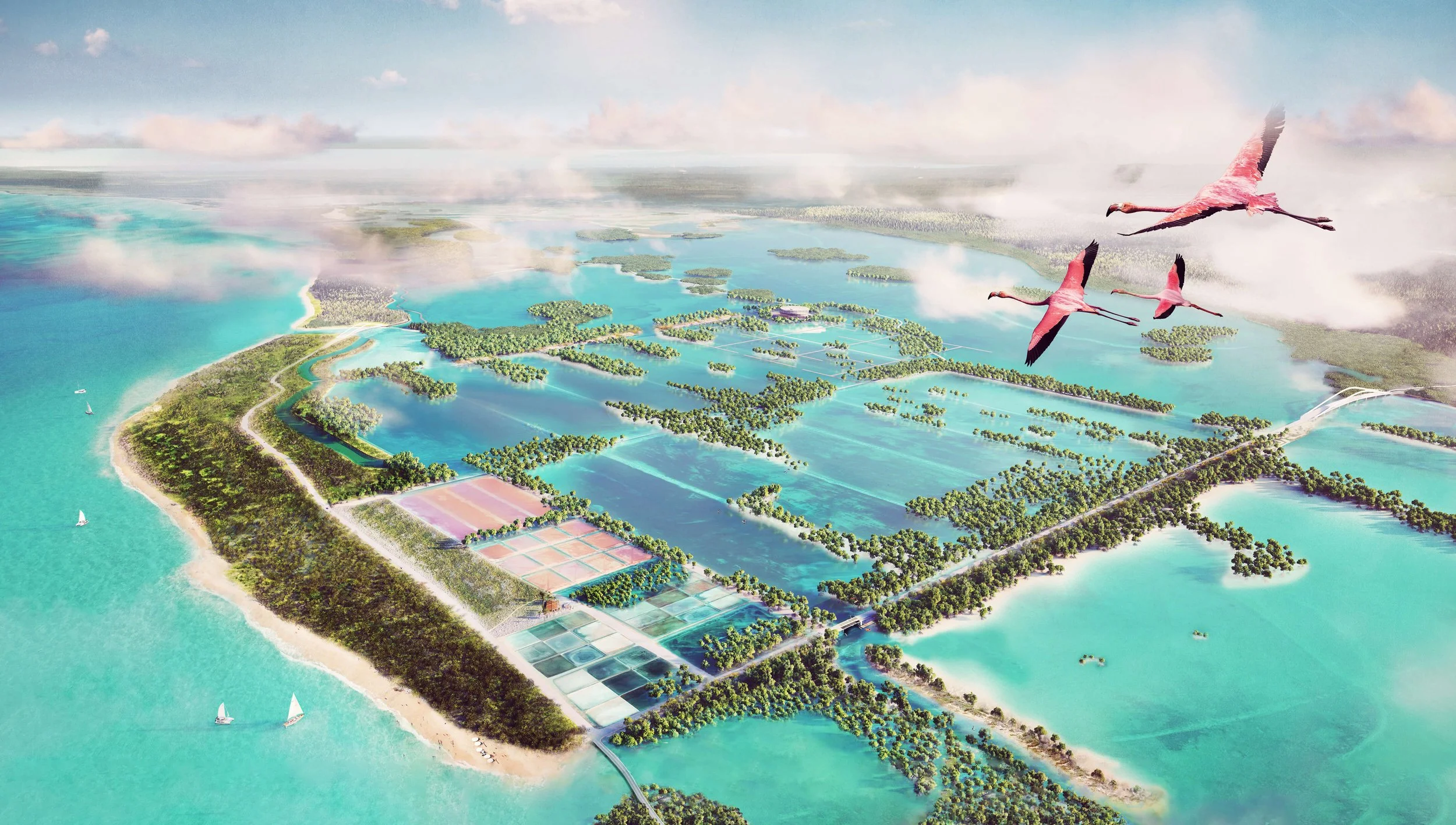 Mangrove Restoration Aerial Overview