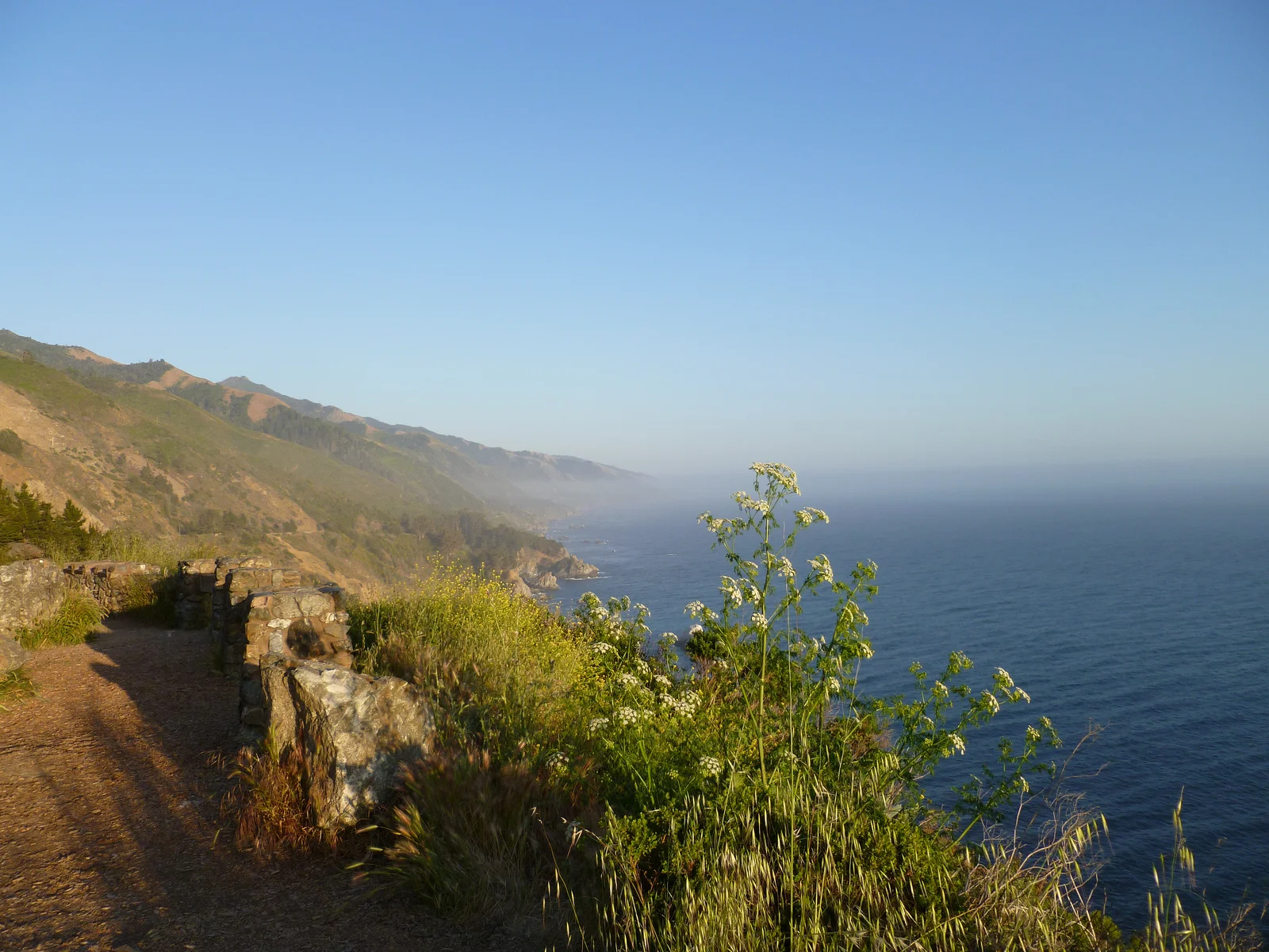 cali-1.jpg