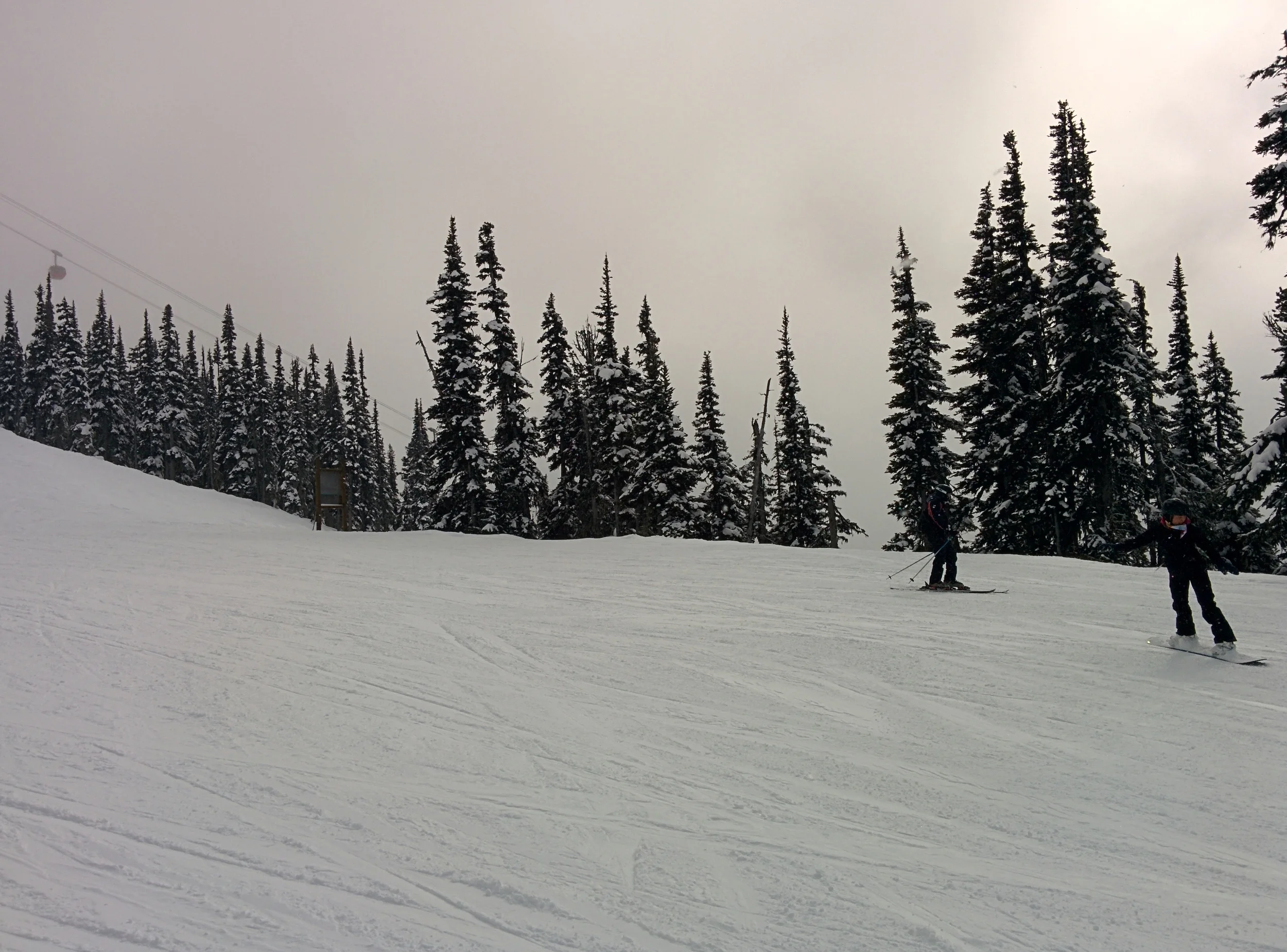 IMG_20140322_143753.jpg