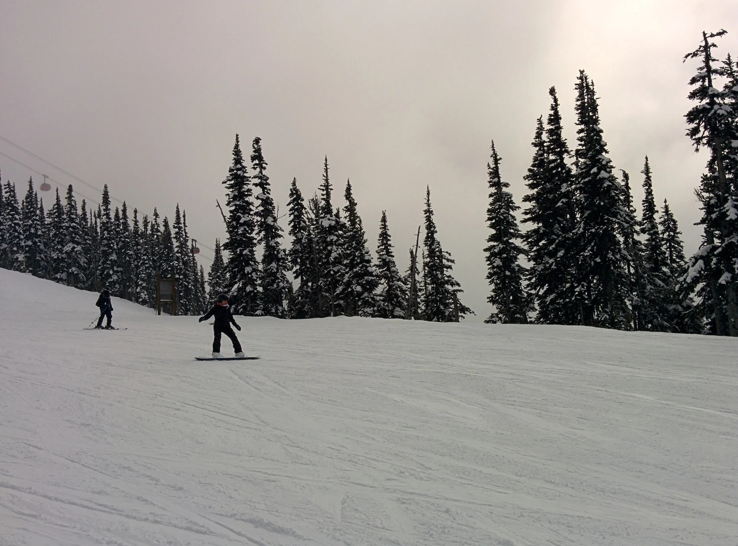 IMG_20140322_143750.jpg