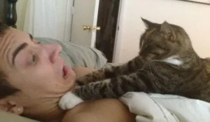 "Quit talking Process," said the cat as he attempted to kill the AE. Click on the image to go to Managers Are Heroes website. Good piece on self control when you want to strangle someone at the office. I had to use the image. It has a cat doing what comes naturally. Amazing what you can find on a Google search. And I know the irony of MAH when I'm calling-out managers all the time on silly things they do...