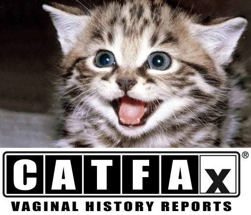 CATFAX.jpg