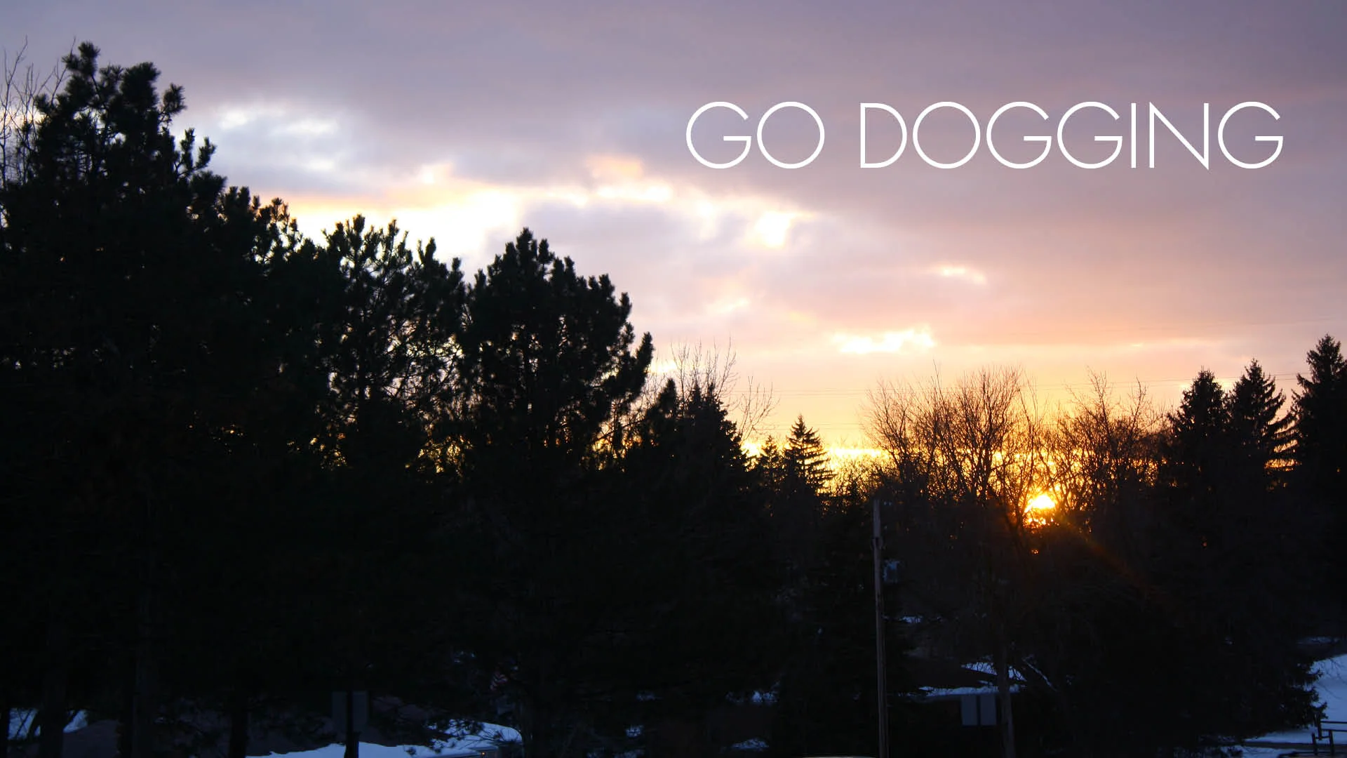 Go dogging.jpg