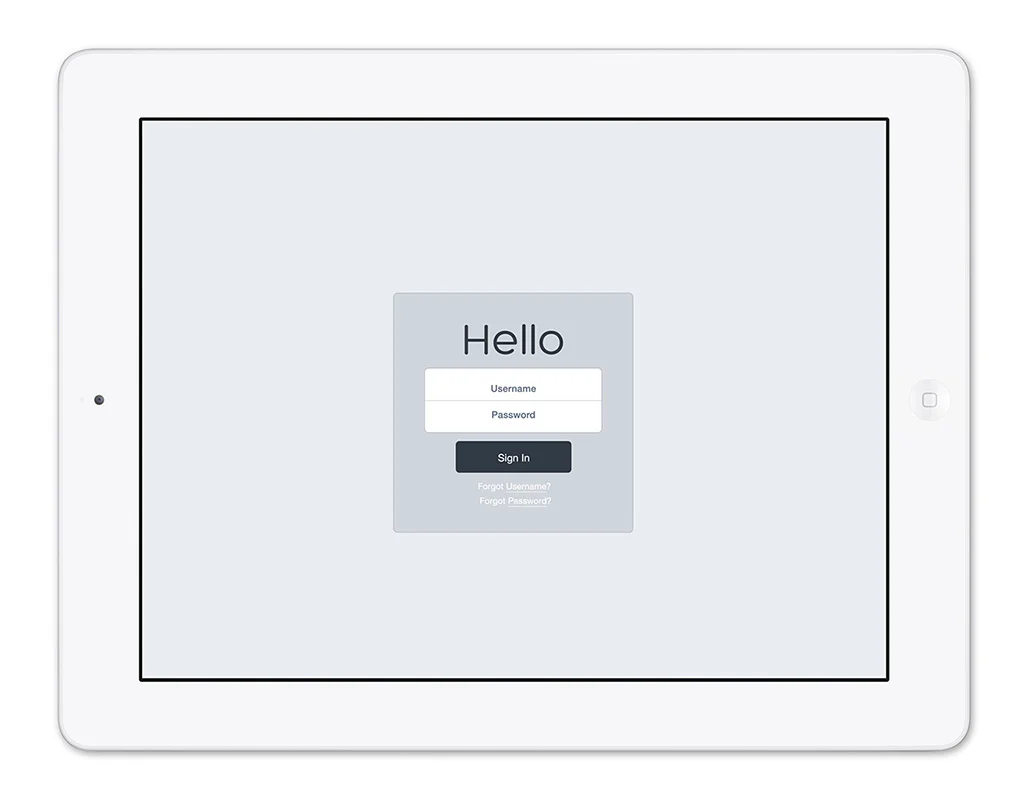 MS_iPad2_Interactive.jpg