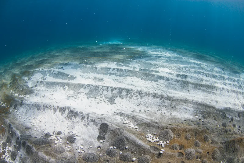 Bacterial mats growing on the shallow sea bottom surface, only until the southern winds blow again and the waves disperse them.