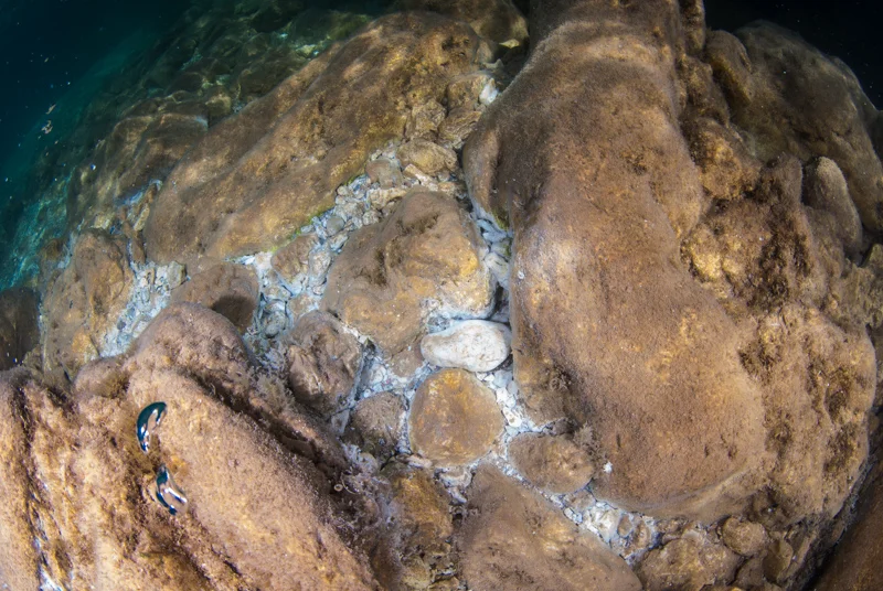 White bacterial mats underneath the rocky surfaces. 
