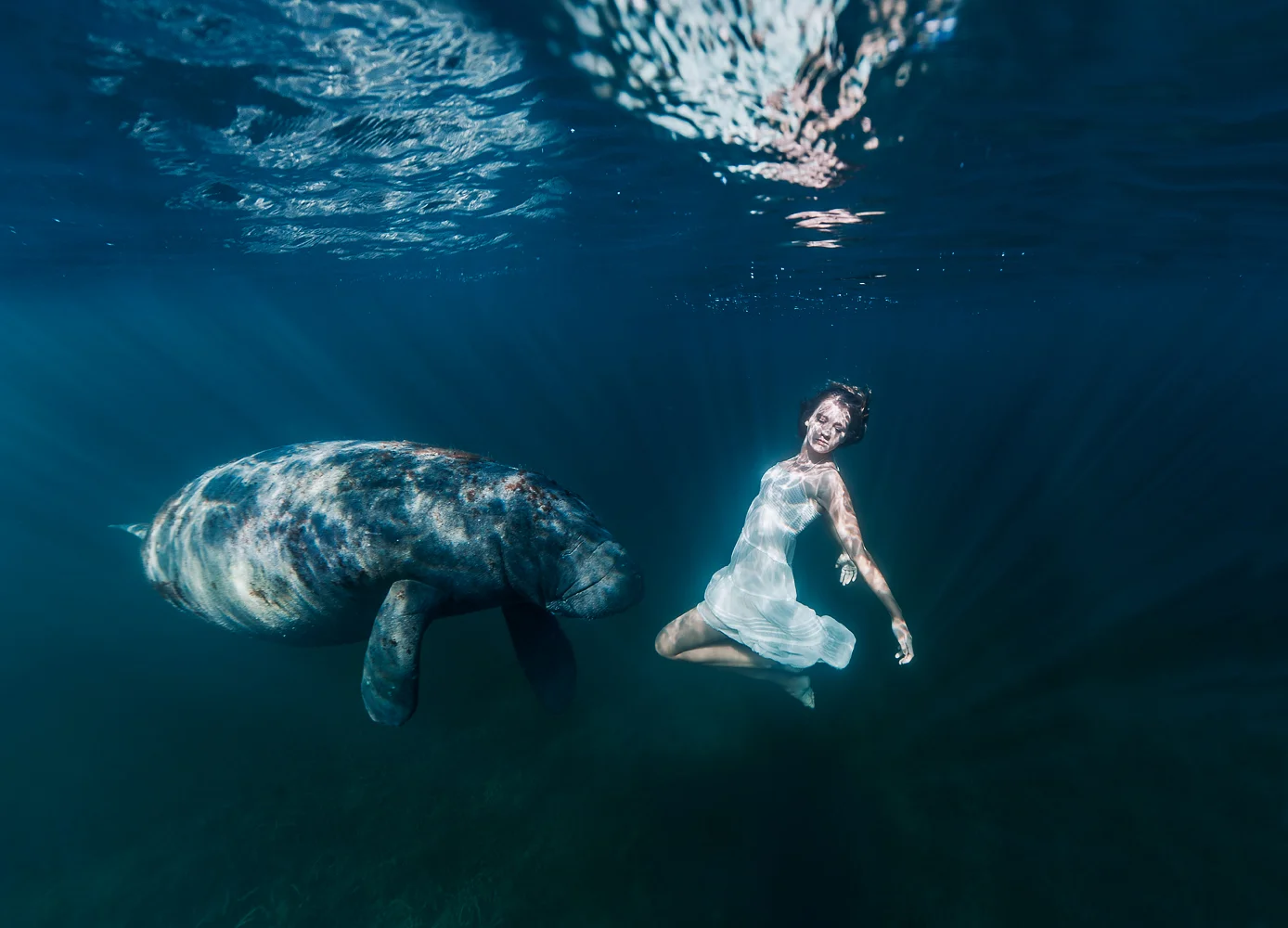 sachakalis_with_manatee01.jpg