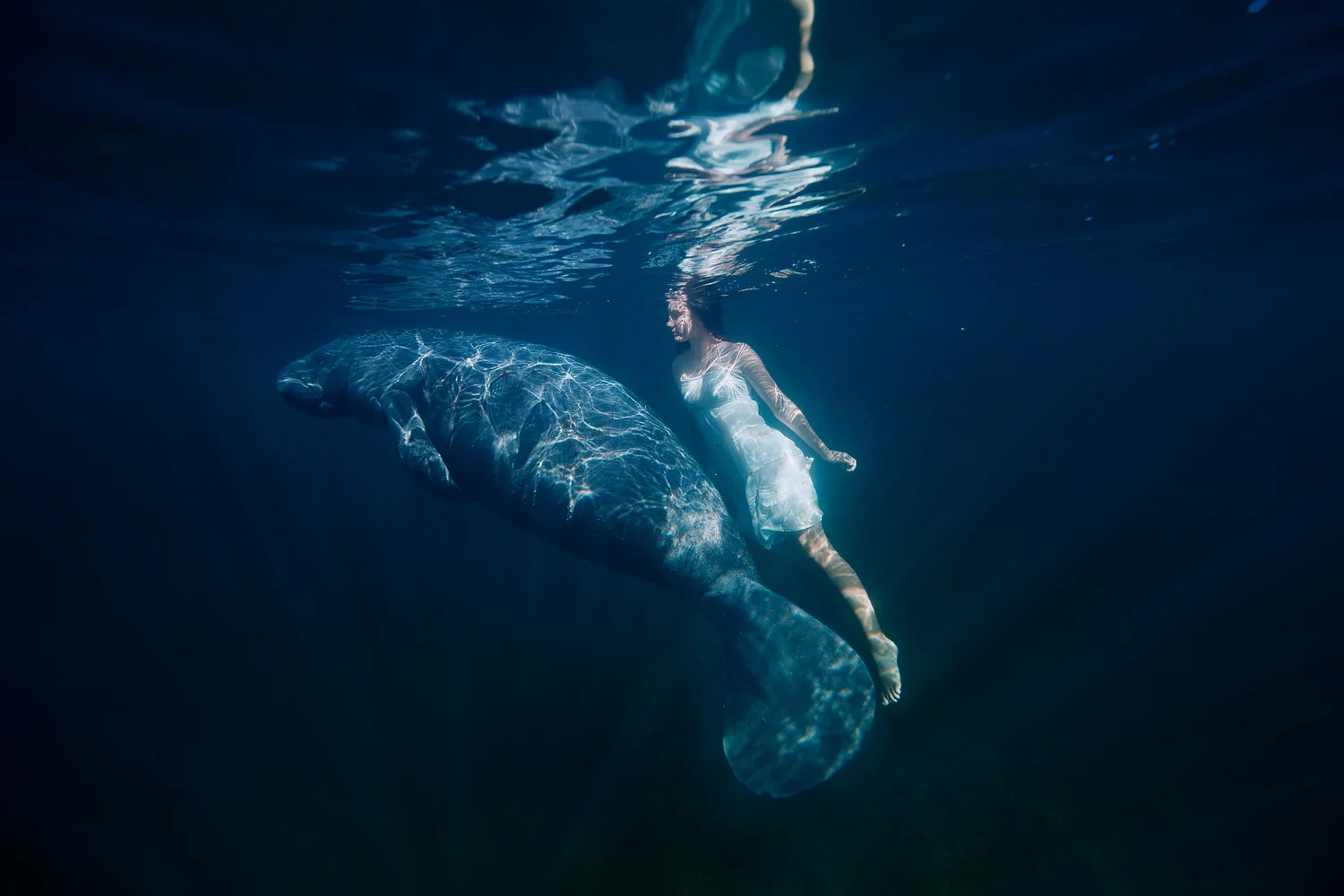 sachakalis_with_manatee08.jpg