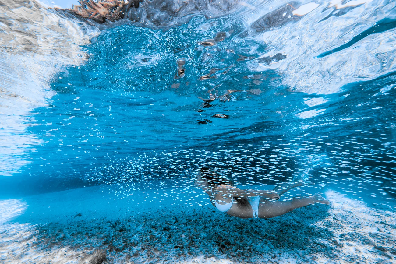 Professional Underwater Photographers