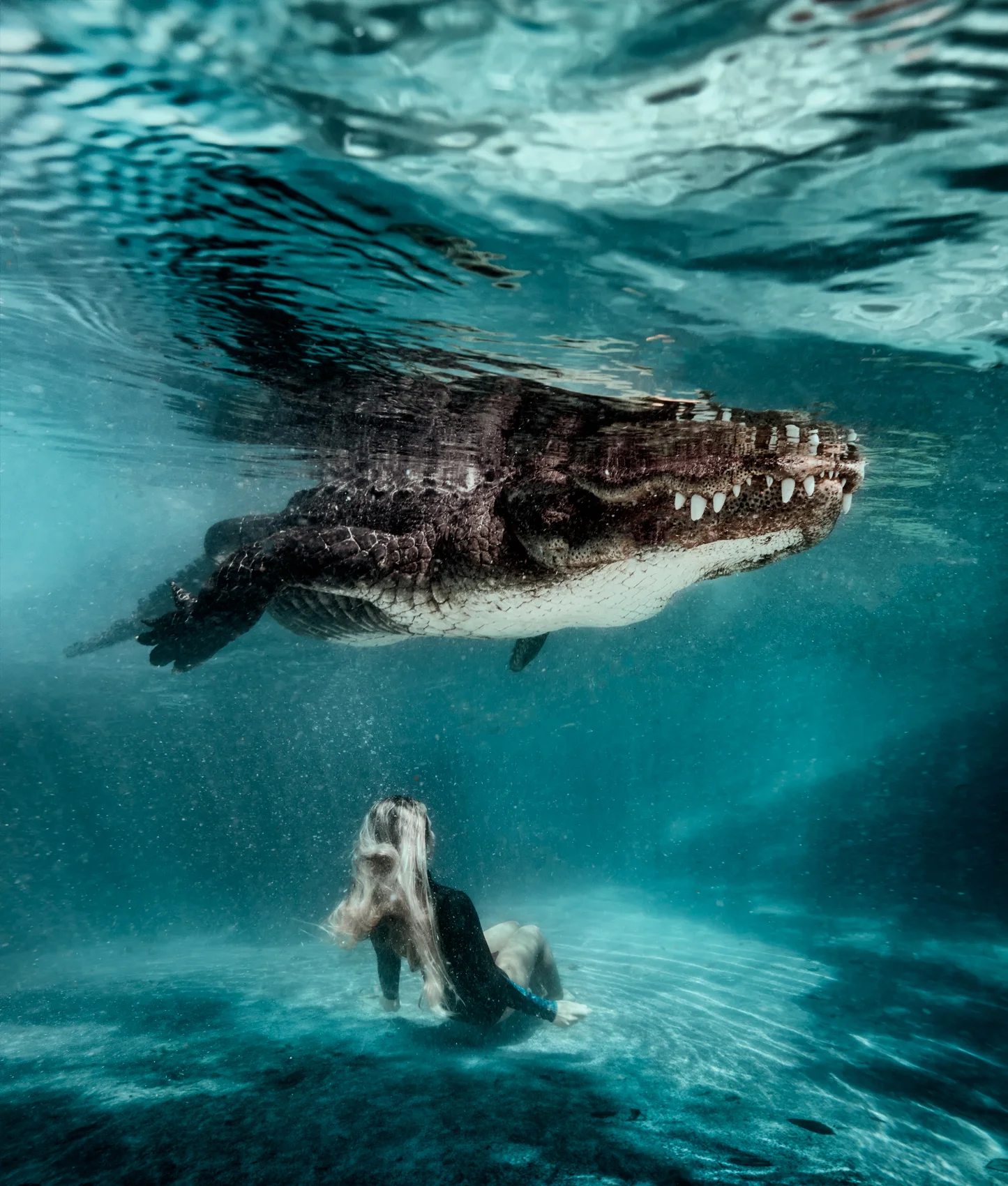 gator40.jpg