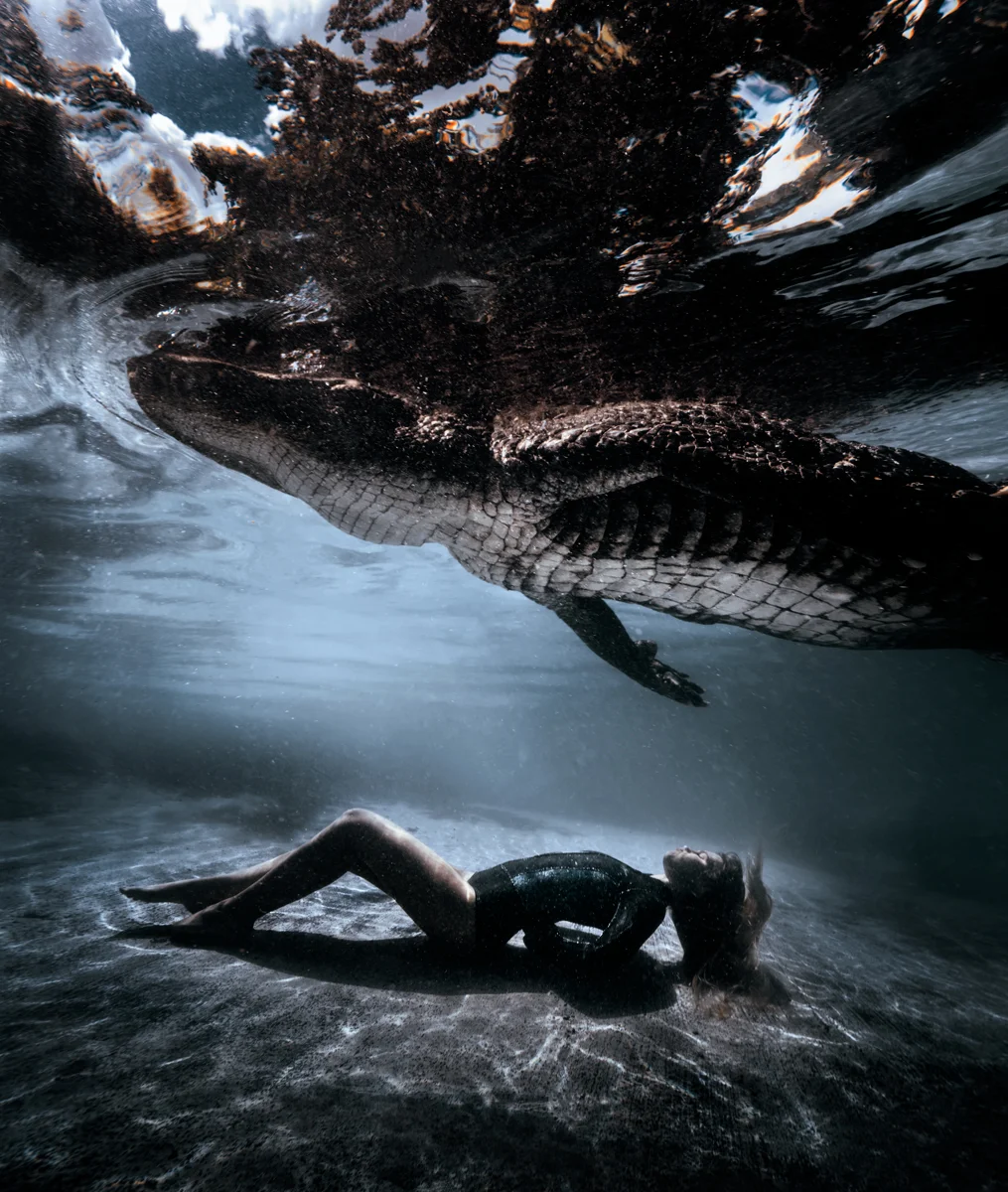 gator20.jpg