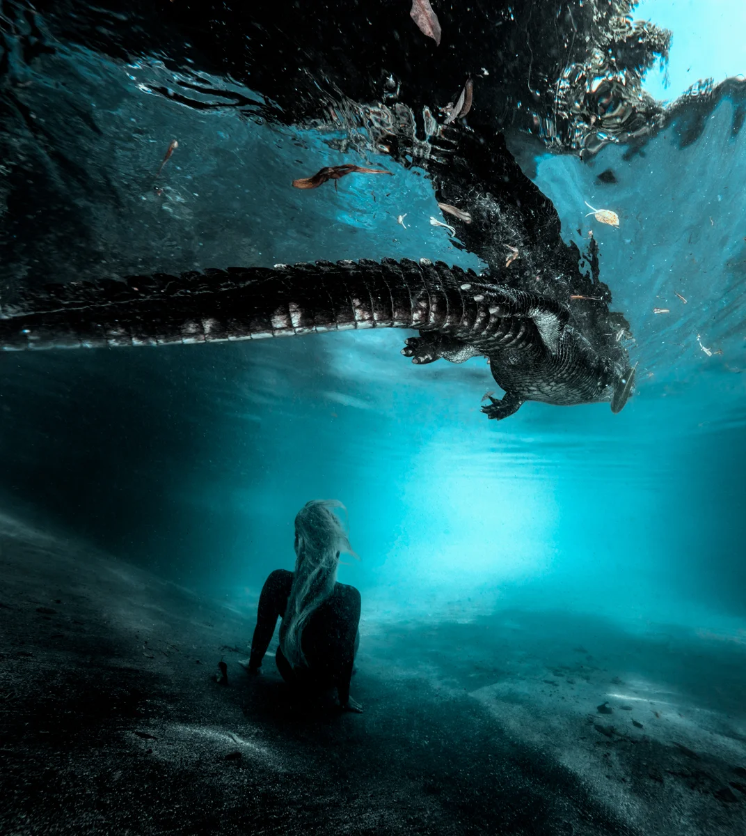 gator05.jpg