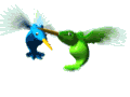 hummingbirds.gif