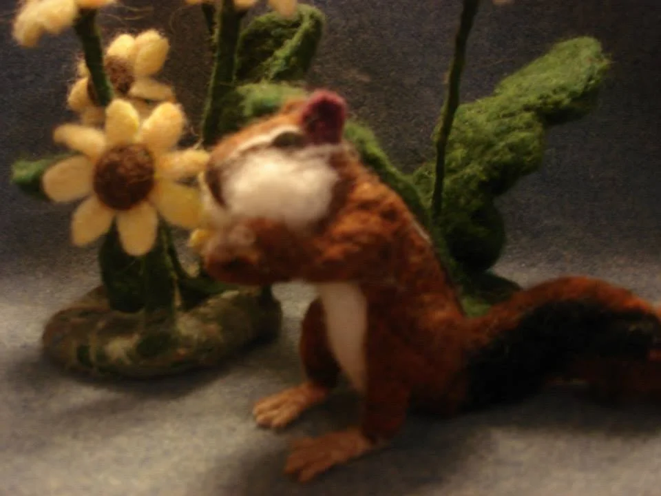 chipmunk.jpg