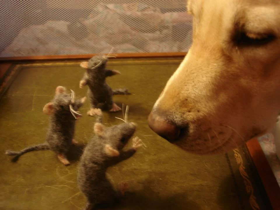 Lexus and mice.jpg