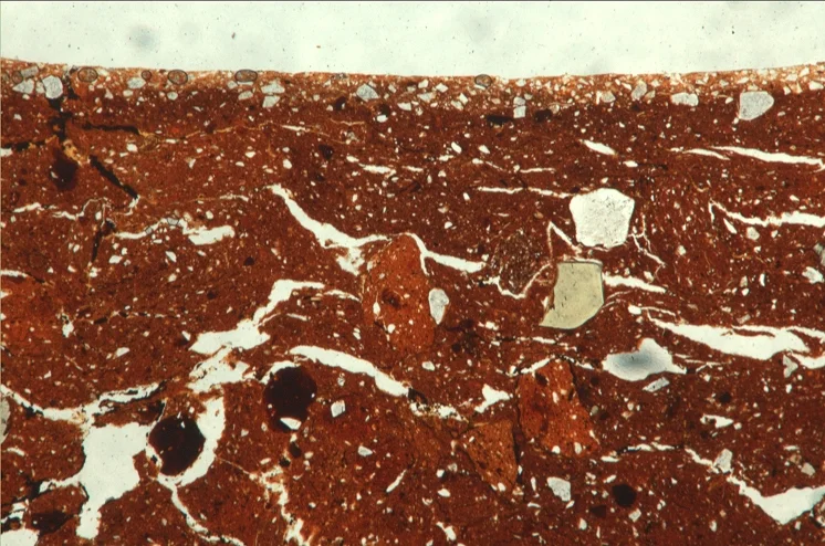 Example of a soil thin sction under microscope