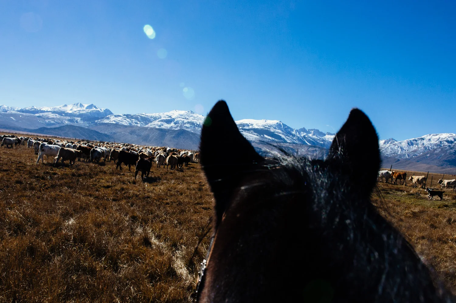 ranchland-8731.jpg