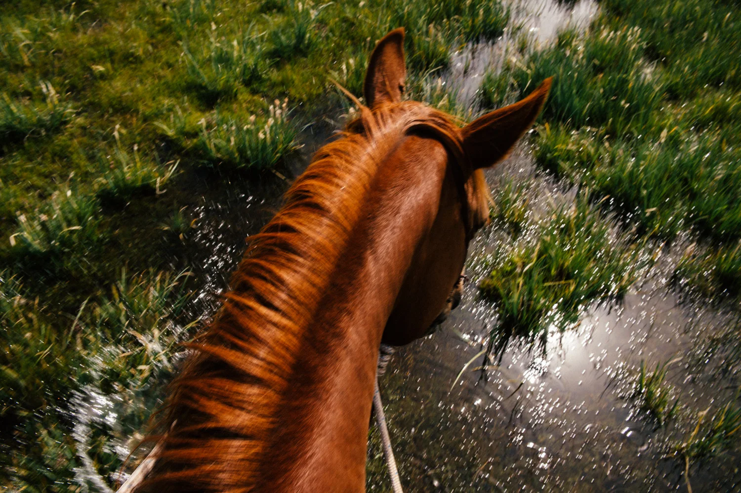 ranchland-9420.jpg