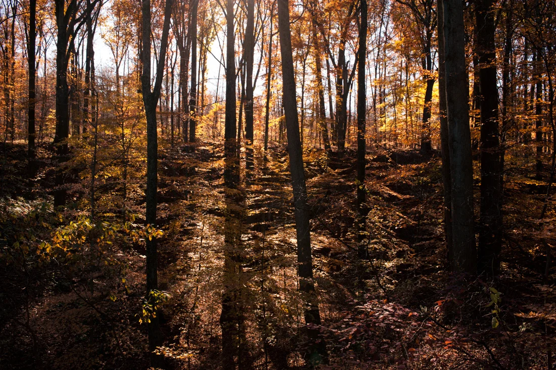 20101112-_DSC5061.jpg