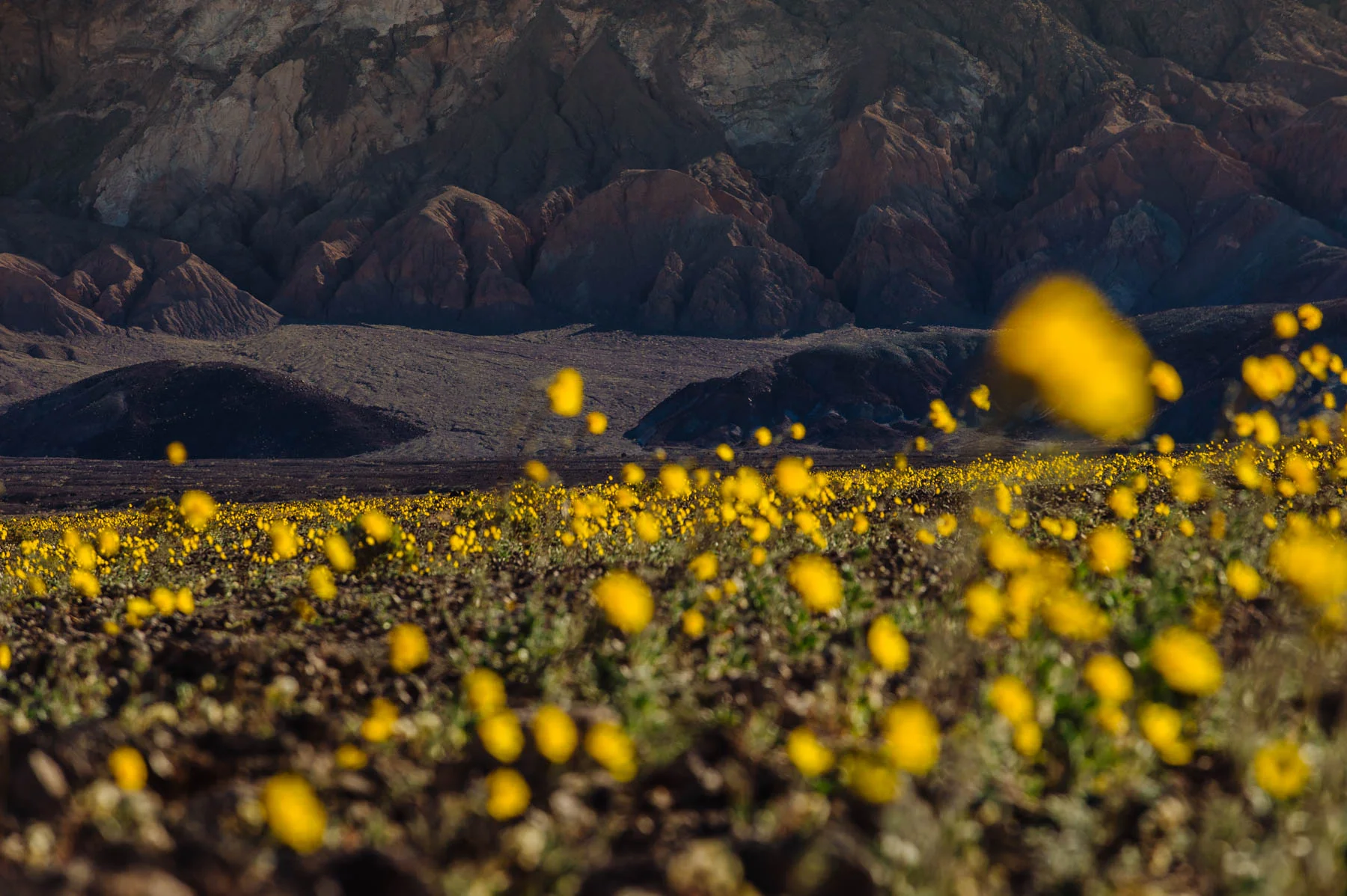 Death Valley, CA