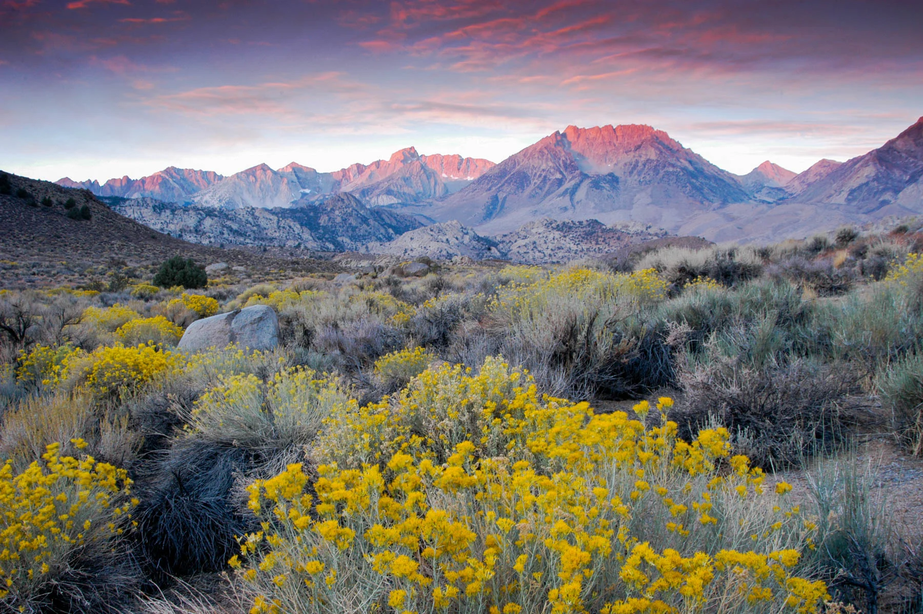 Buttermilks, CA