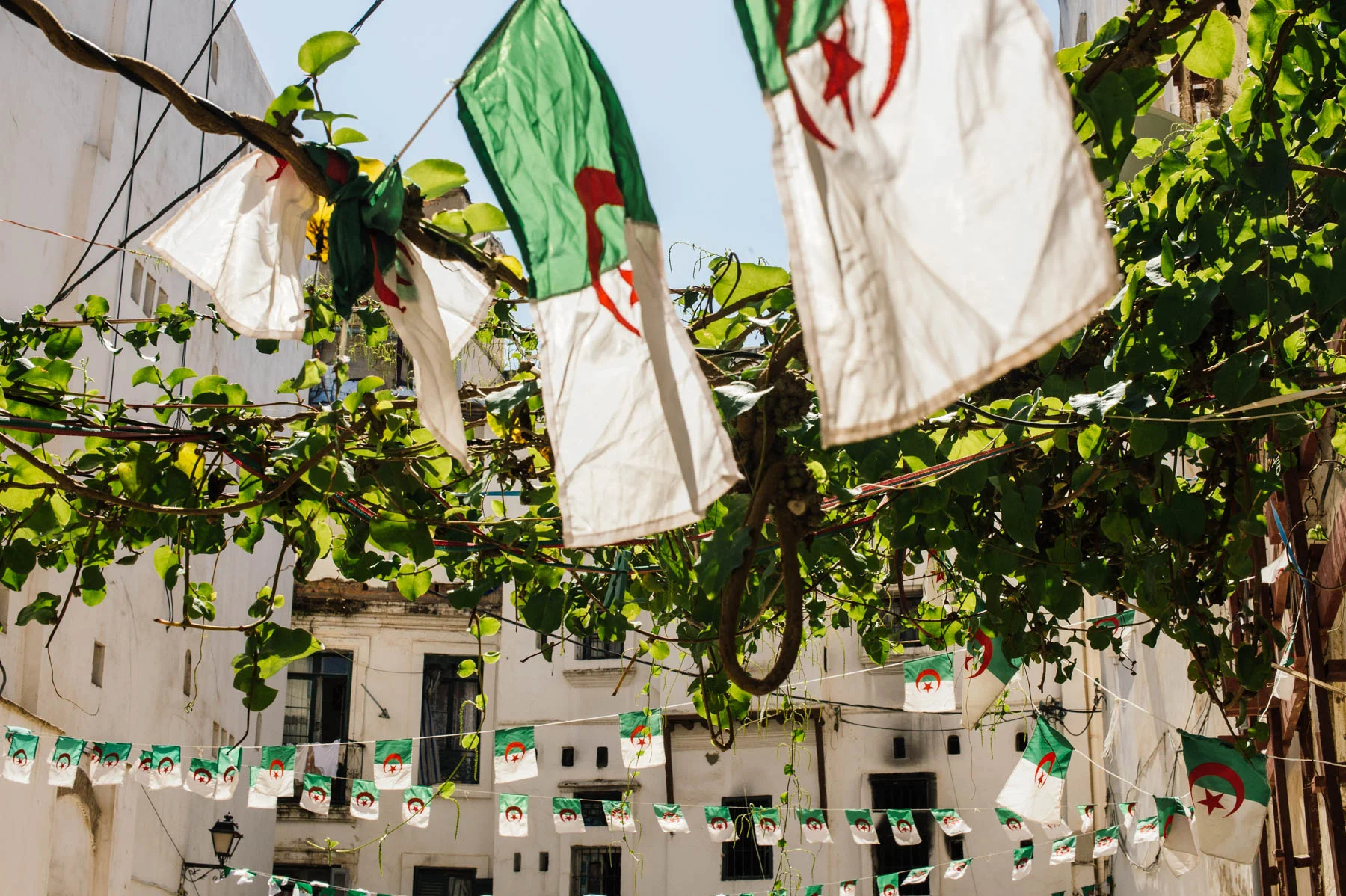 20130911-DSC_0872.jpg