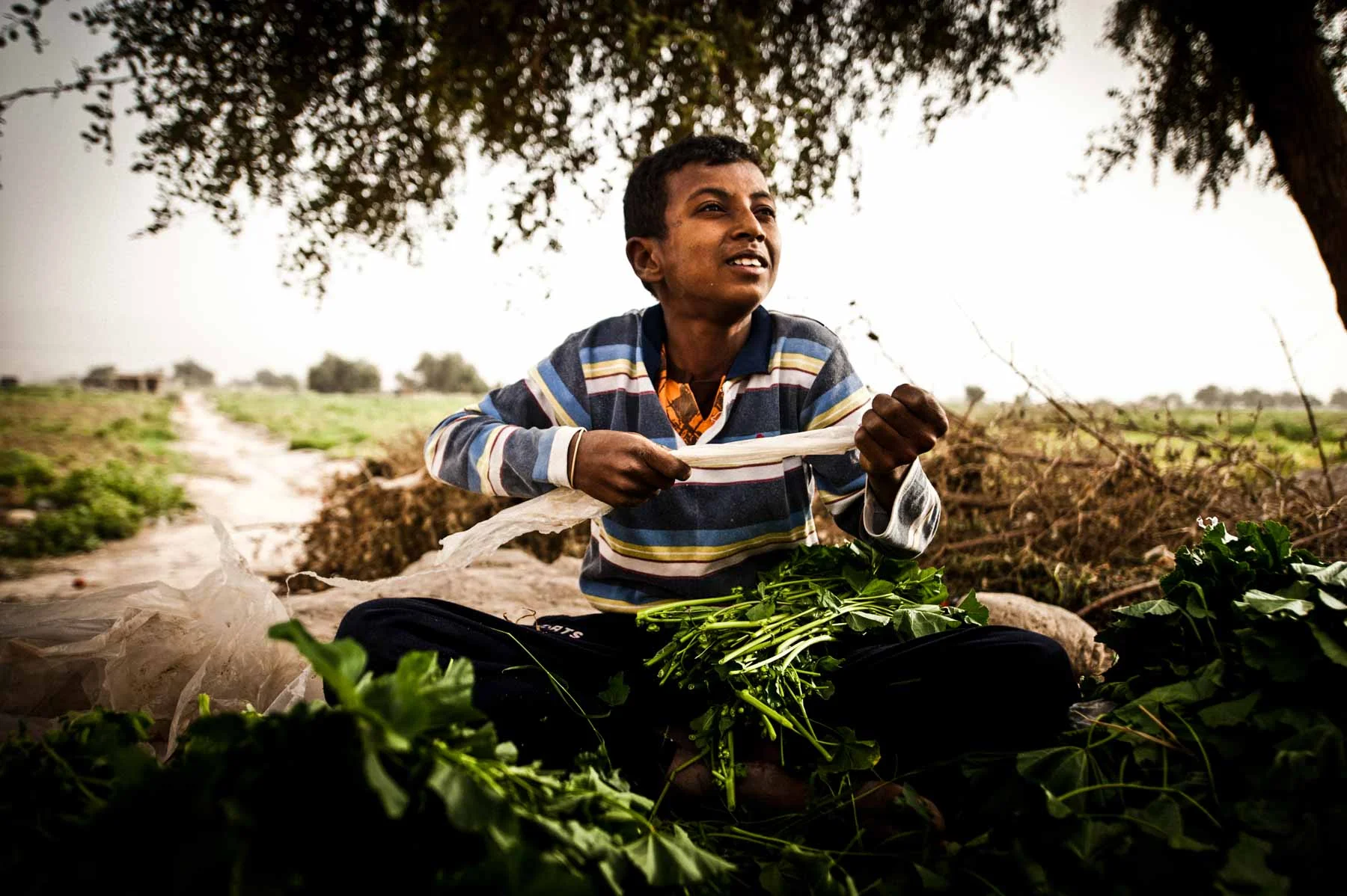 20110309-EDITED_IN_FIELD-0142.jpg